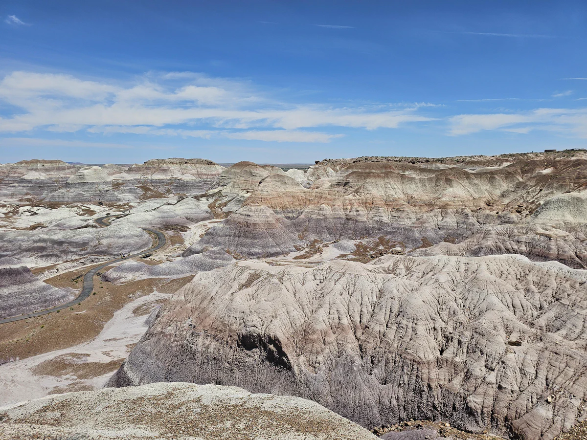 Petrified Forest