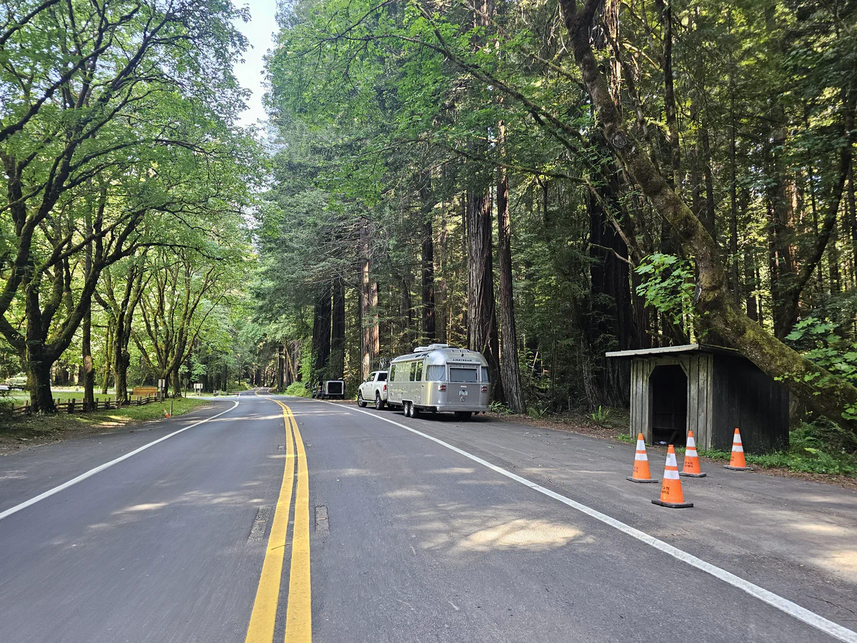 I highly suggest this drive if on the 101, Avenue of the Giants