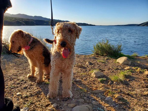 Cachuma Lake