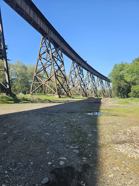 Life on the Sacramento River, has bugs.