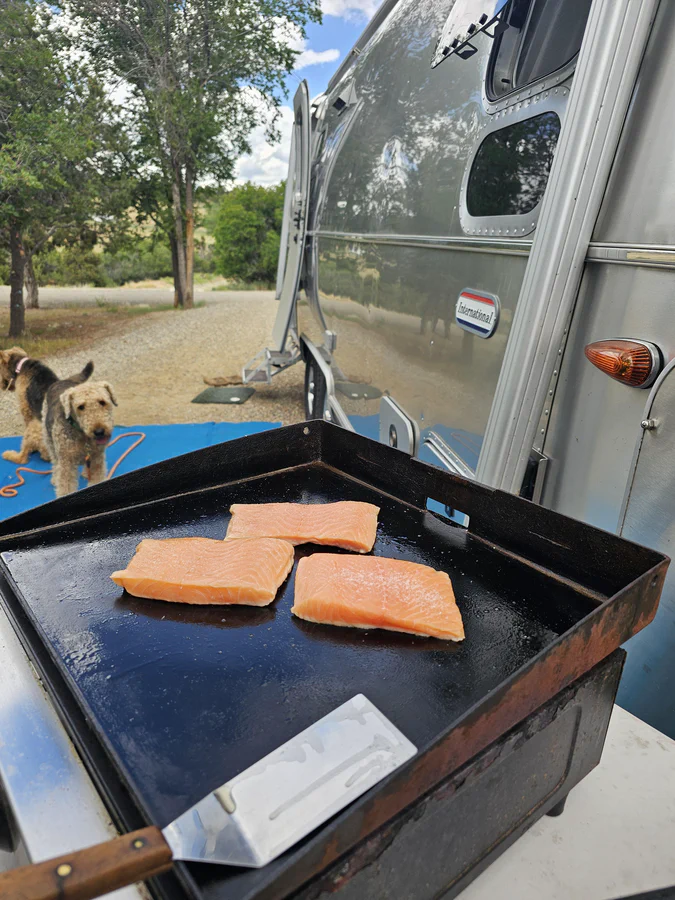 Dolores with Arizona Airstream Club