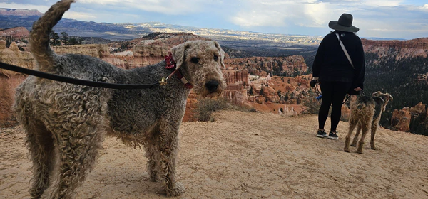 Bryce Canyon National Park